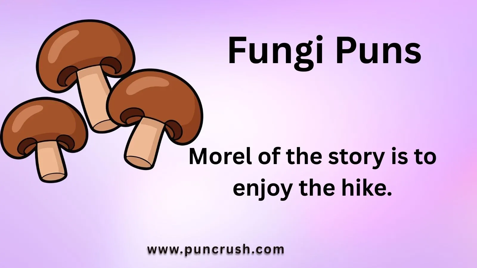 Fungi Puns
