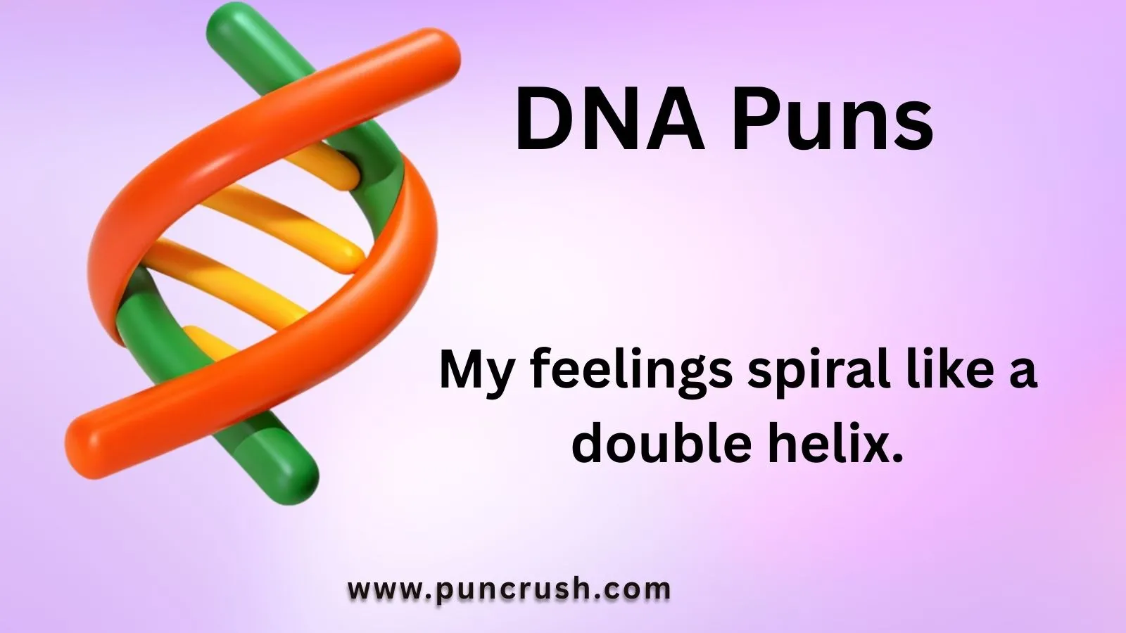 DNA Puns