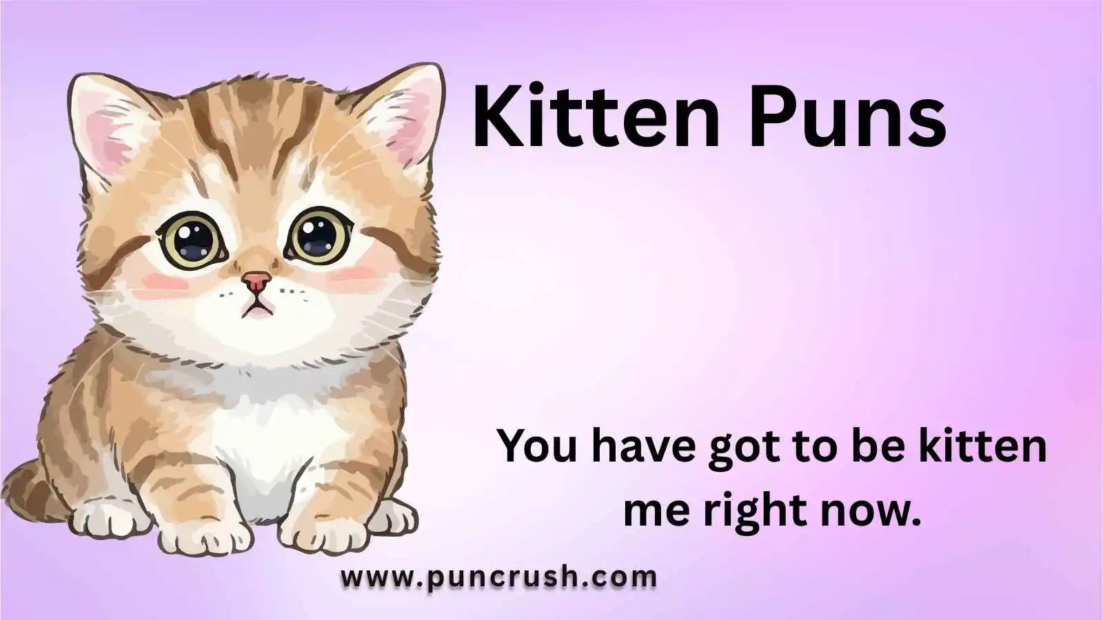 Kitten Puns