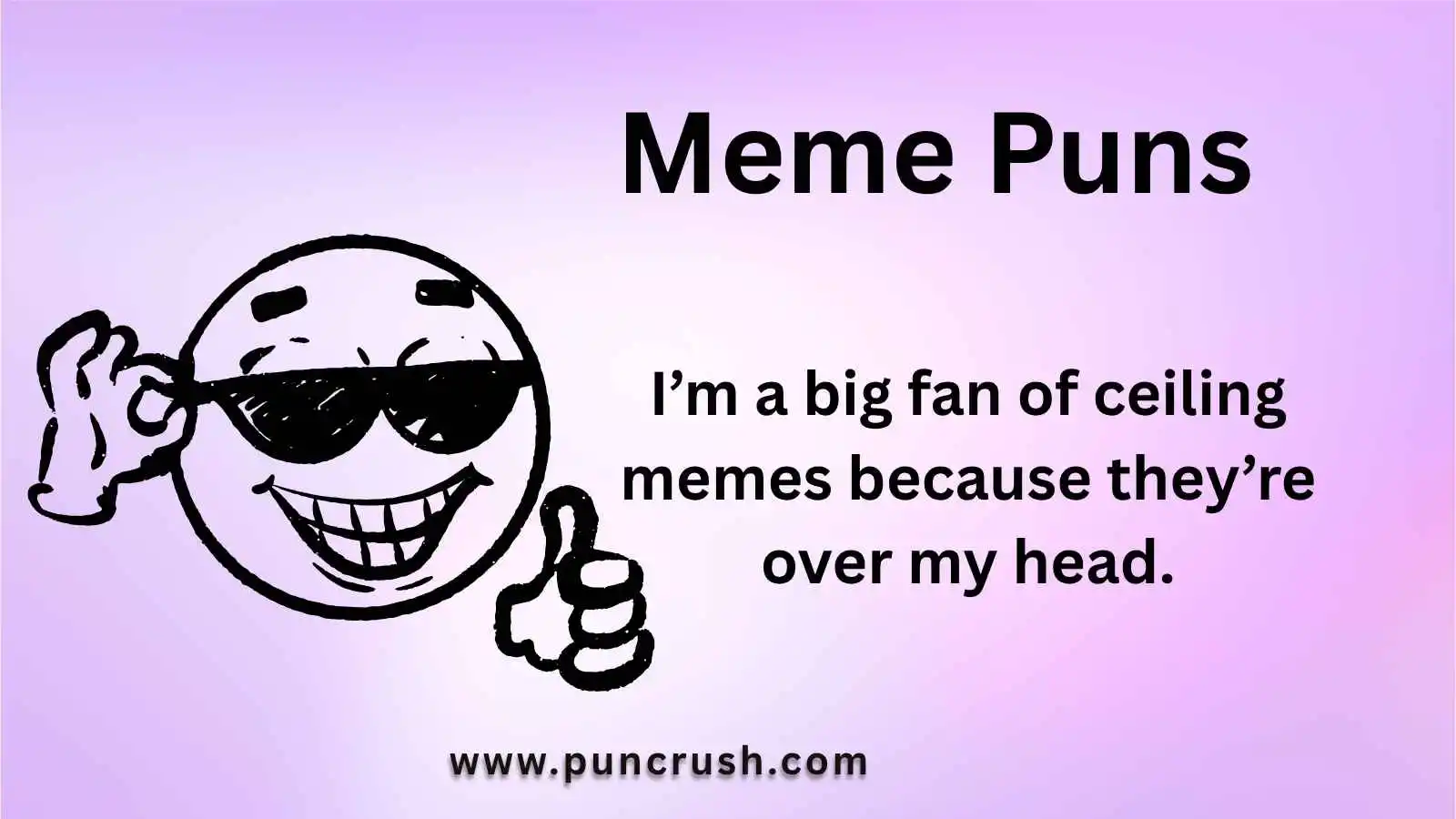 Meme Puns