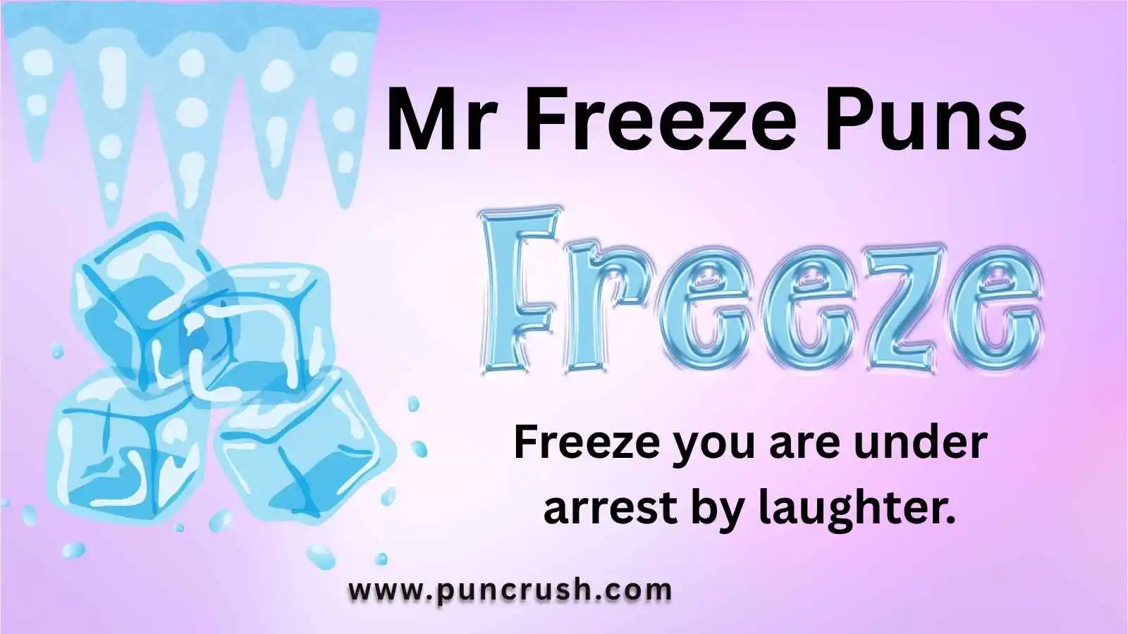Mr Freeze Puns