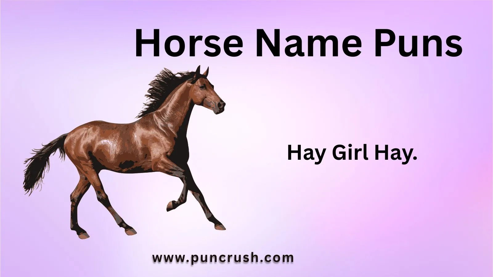 Horse Name Puns