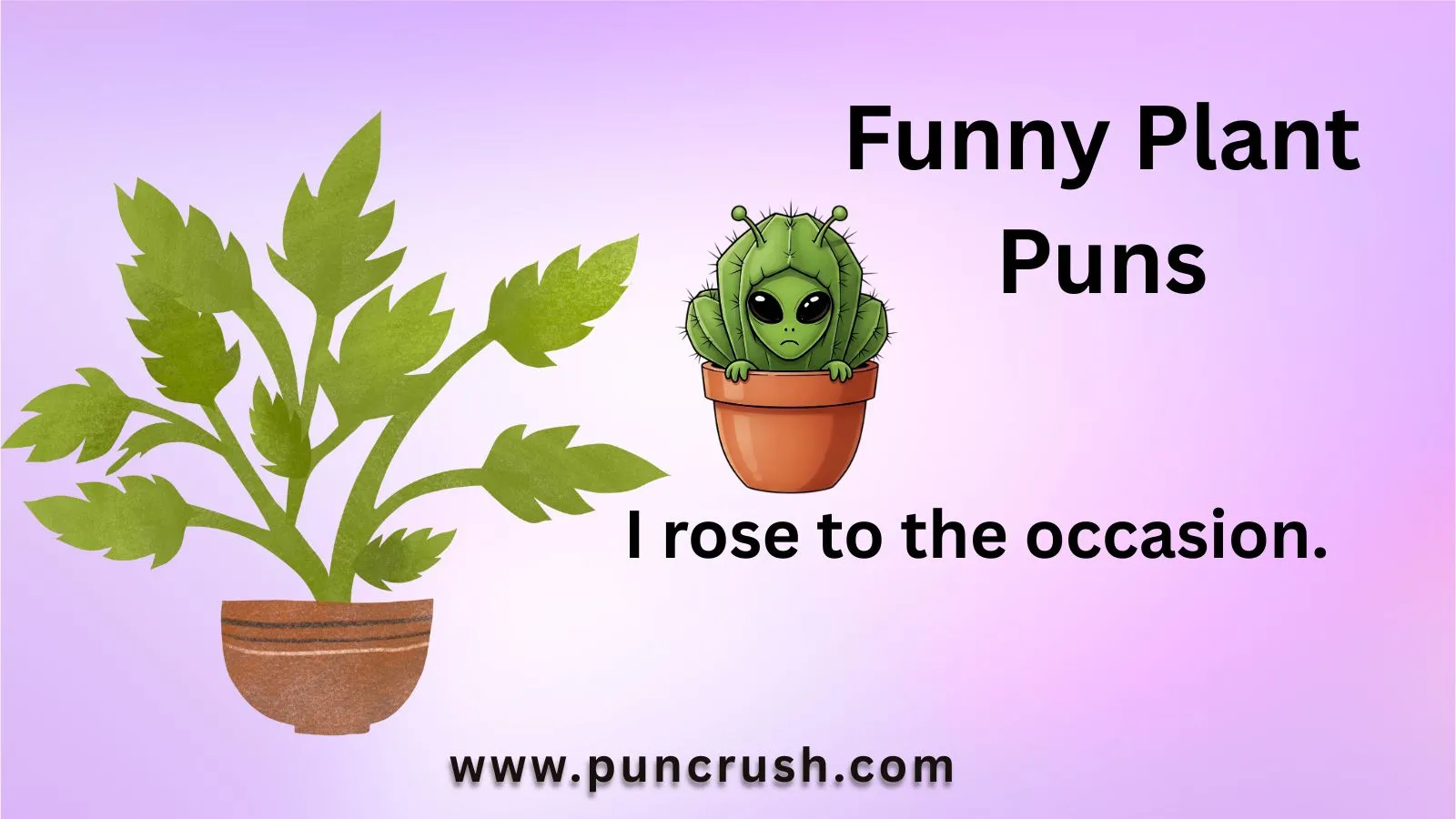 Funny Plant Puns