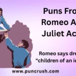 Puns From Romeo And Juliet Act 1