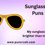 Sunglasses Puns