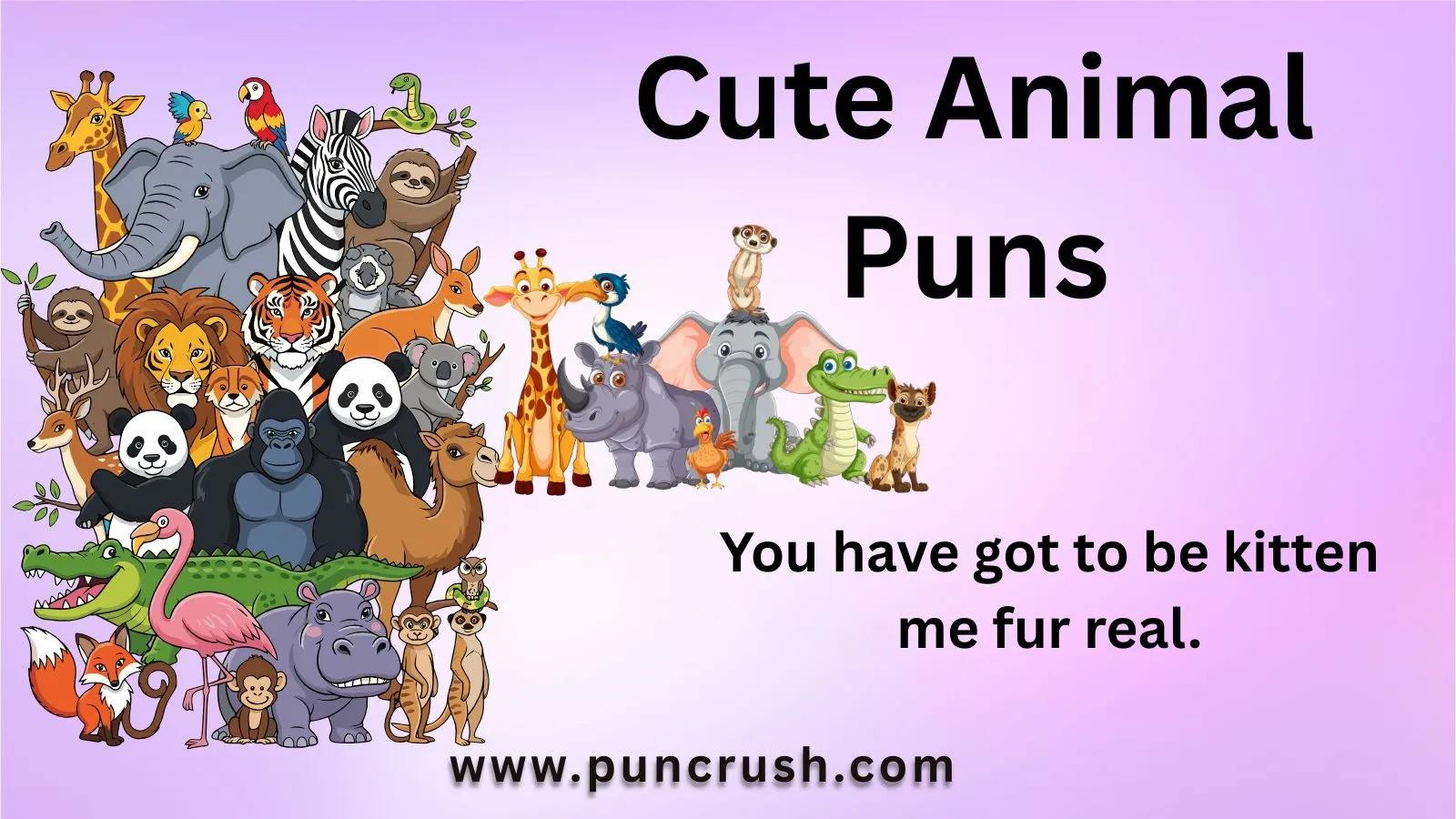 Cute Animal Puns