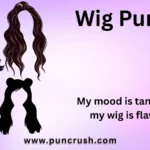 Wig Puns