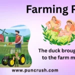 Farming Puns