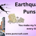 Earthquake Puns