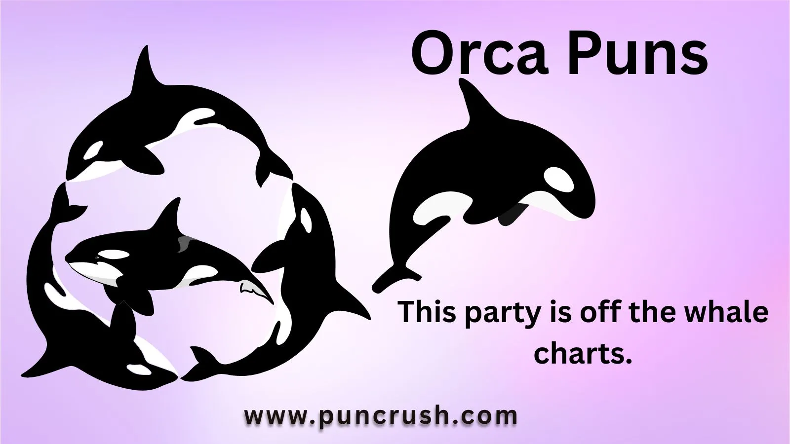 Orca Puns