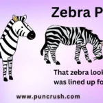 Zebra Puns