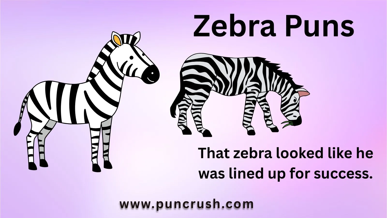 Zebra Puns