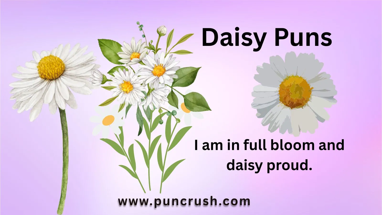 Daisy Puns