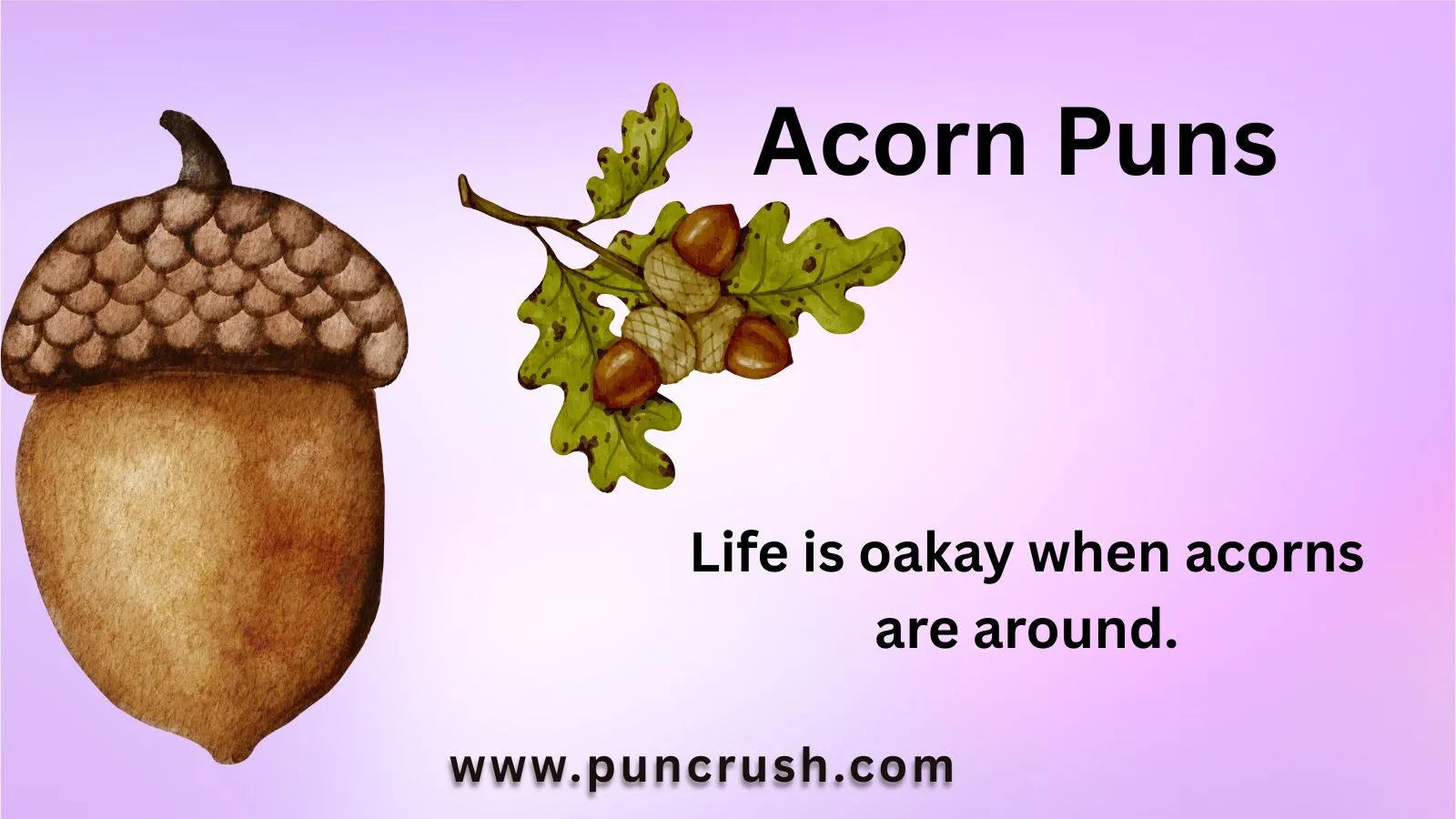 Acorn Puns