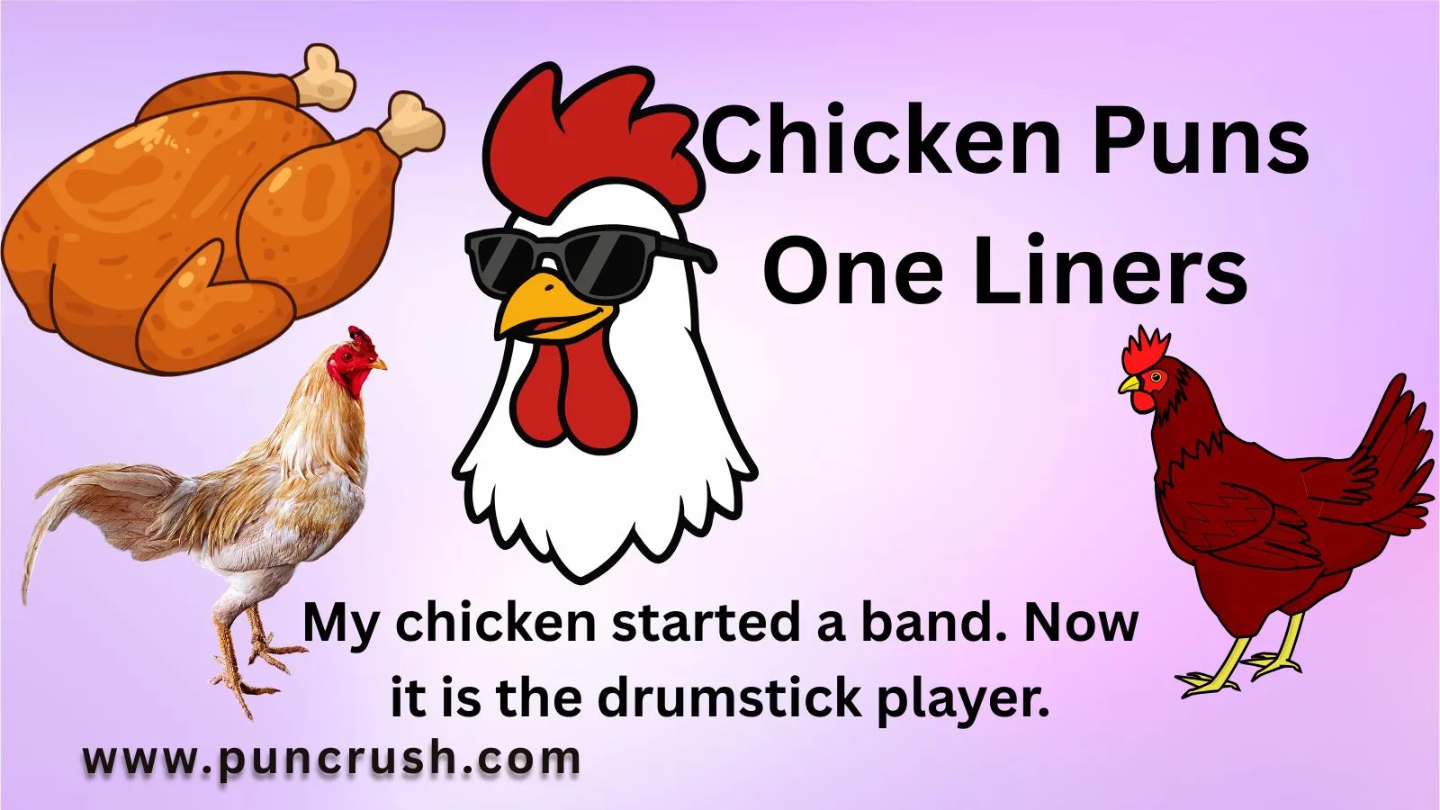 Chicken Puns One Liners