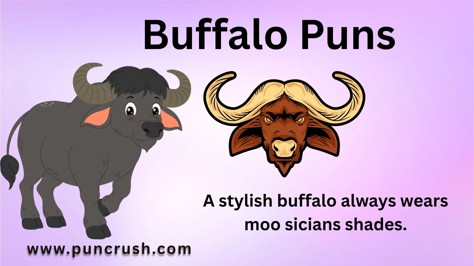 Buffalo Puns