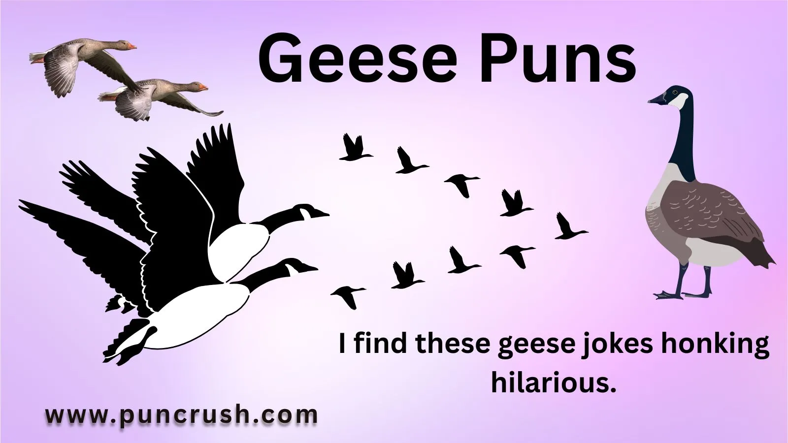 Geese Puns