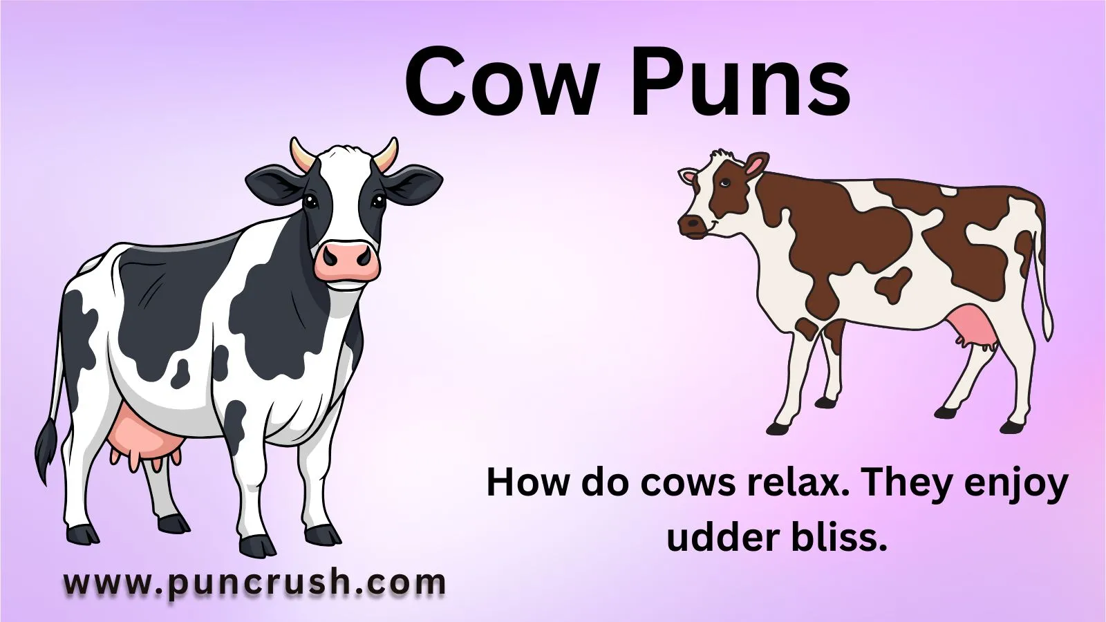 Cow Puns