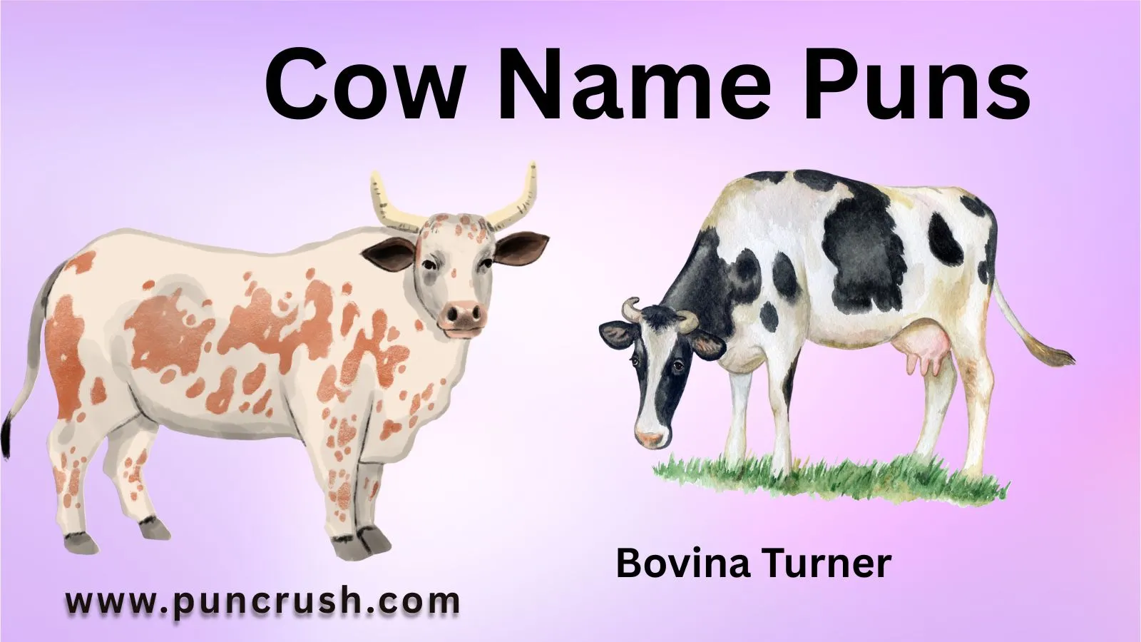Cow Name Puns