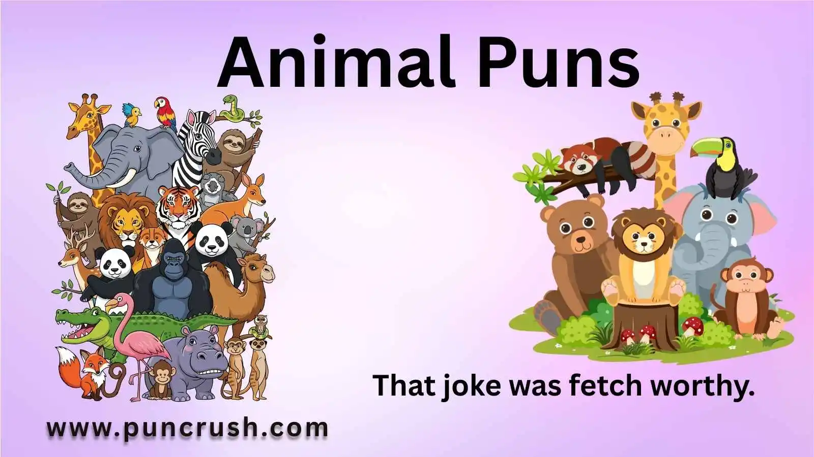 Animal Puns