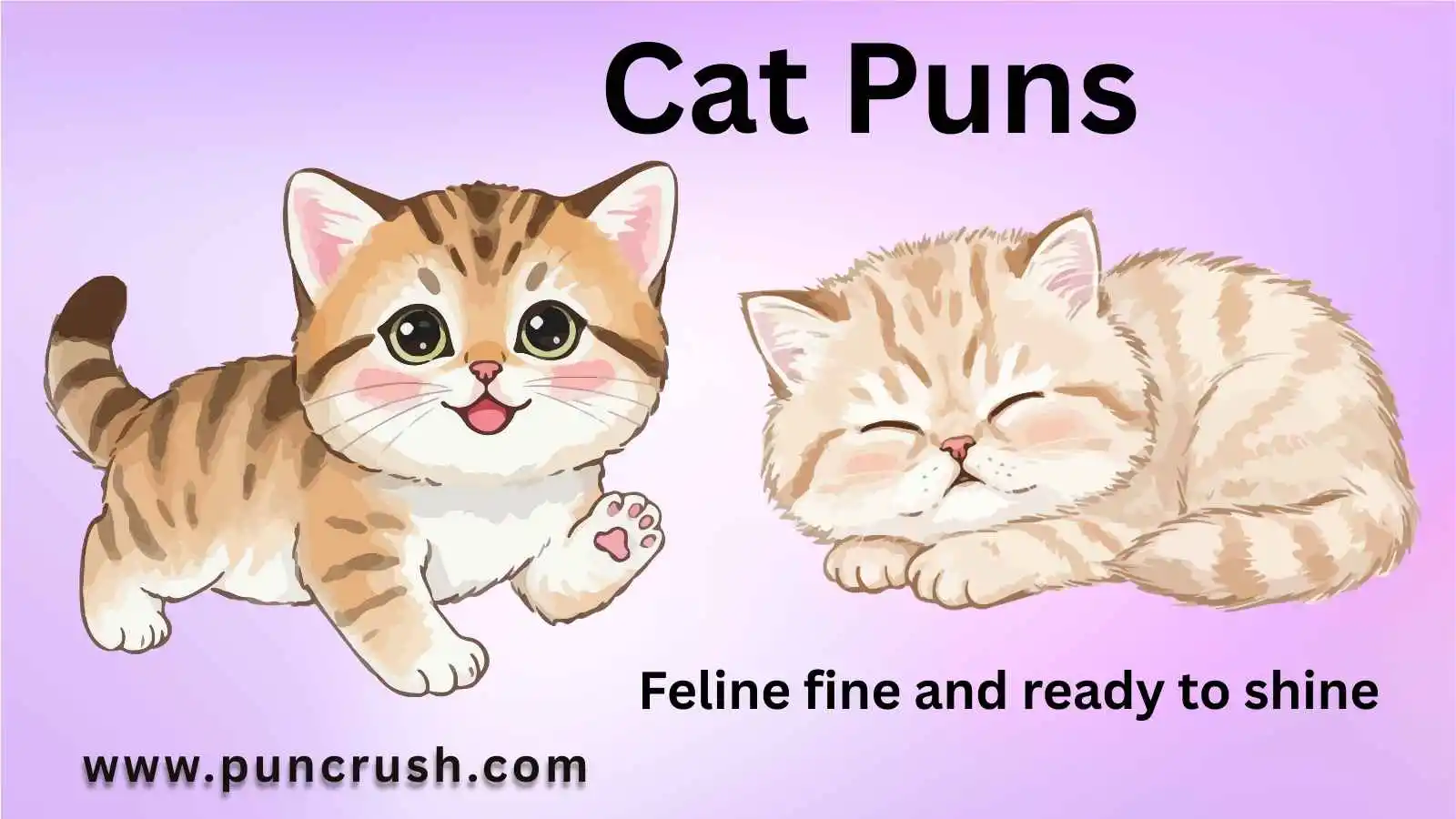 Cat Puns