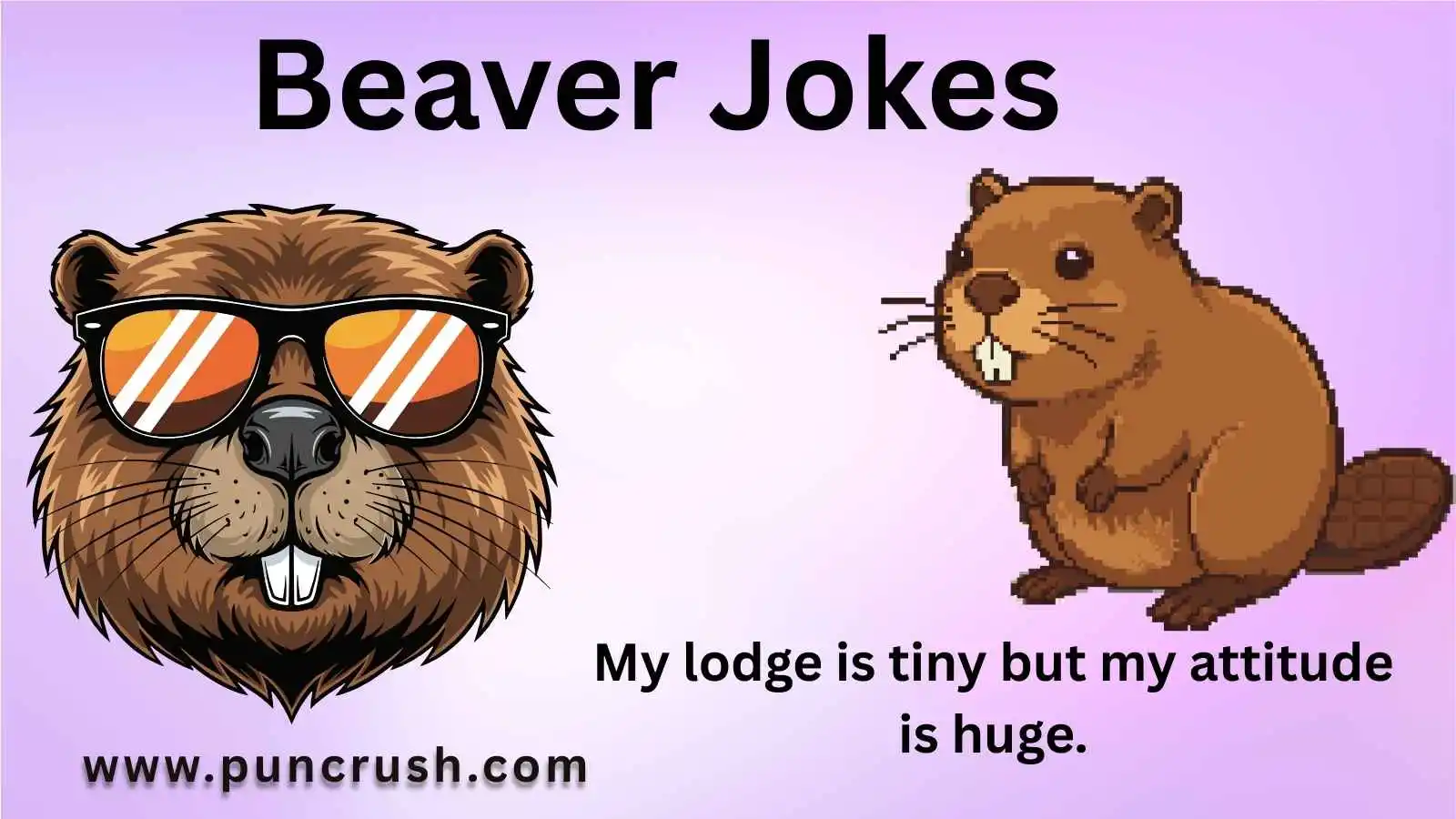 Beaver Jokes