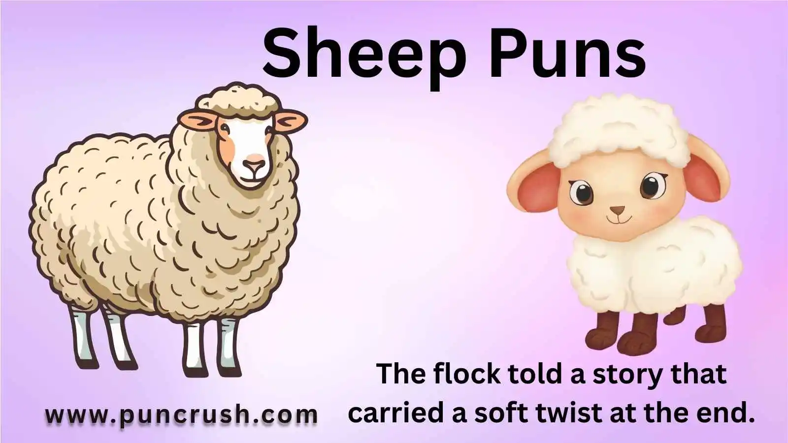 Sheep Puns