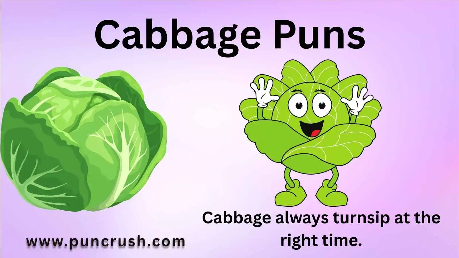 Cabbage Puns
