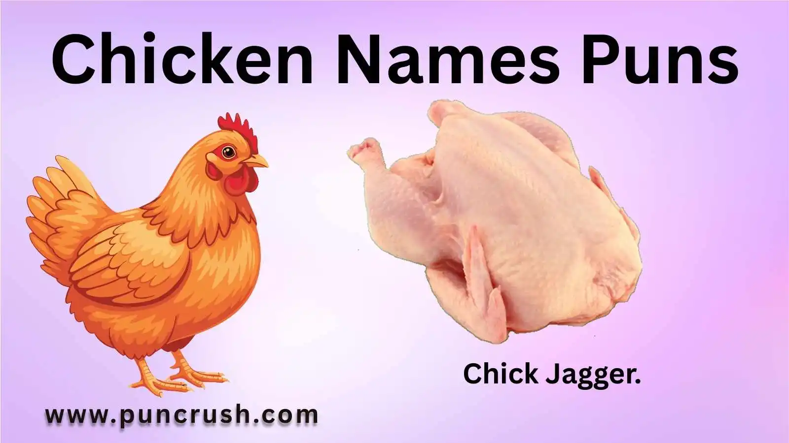 Chicken Names Puns
