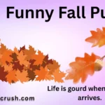 Funny Fall Puns