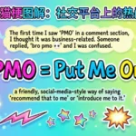 PMO meaning